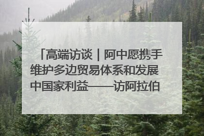 高端访谈｜阿中愿携手维护多边贸易体系和发展中国家利益——访阿拉伯议会议长亚马希
